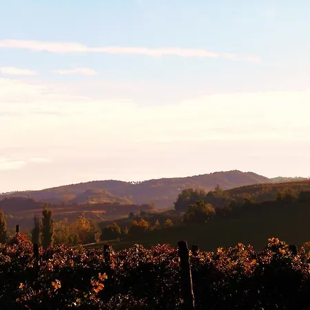 Ciabòt Taricchi Casa vacanze Dogliani