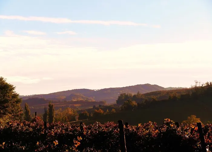 Ciabòt Taricchi Casa de Férias Dogliani